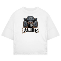 PANDITS